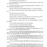 1729589121608-f55d64a8-e2aa-4a66-b2b2-95313f4c1cc2_22