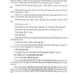 1729589121608-f55d64a8-e2aa-4a66-b2b2-95313f4c1cc2_6