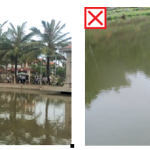 a-comparison-of-a-pond-with-trees-description-aut