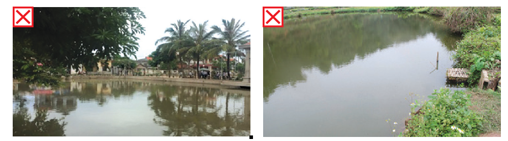 A comparison of a pond with trees Description automatically generated